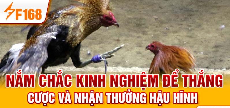 Nắm chắc kinh nghiệm để thắng cược và nhận thưởng hậu hĩnh